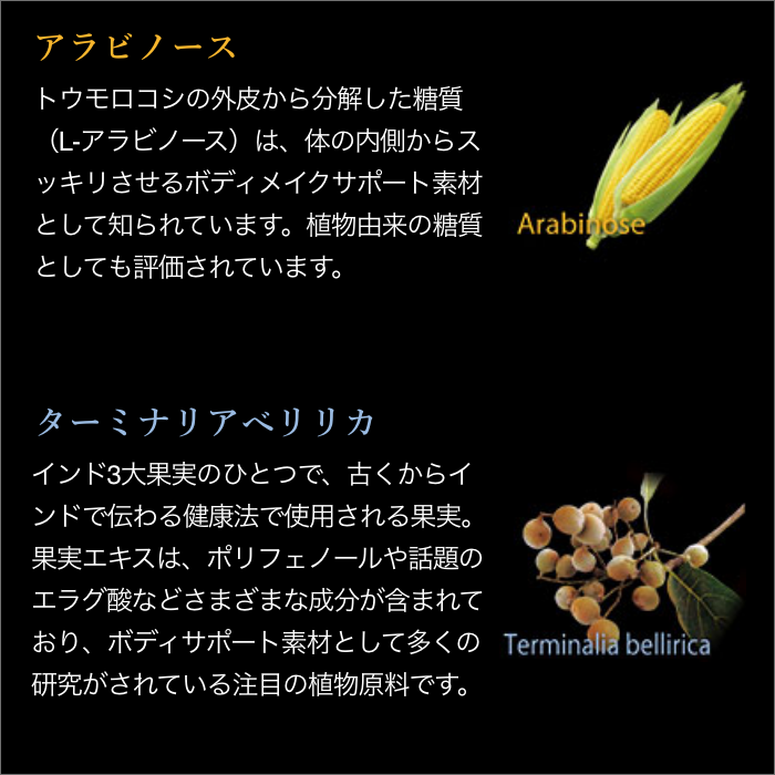 トリプルカッターEX グランプロ