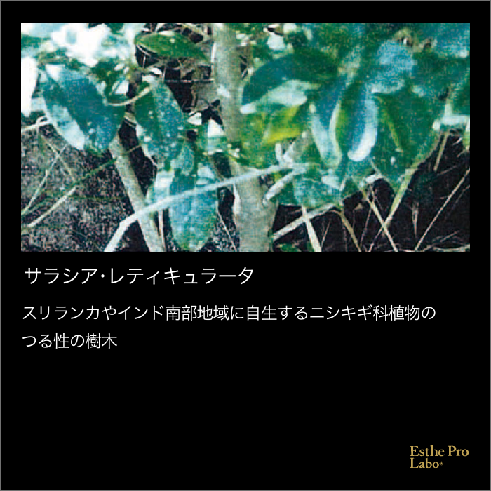 トリプルカッターEX グランプロ