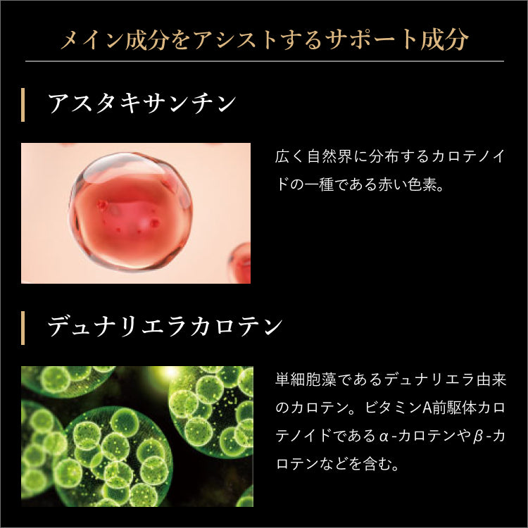 イーブライト