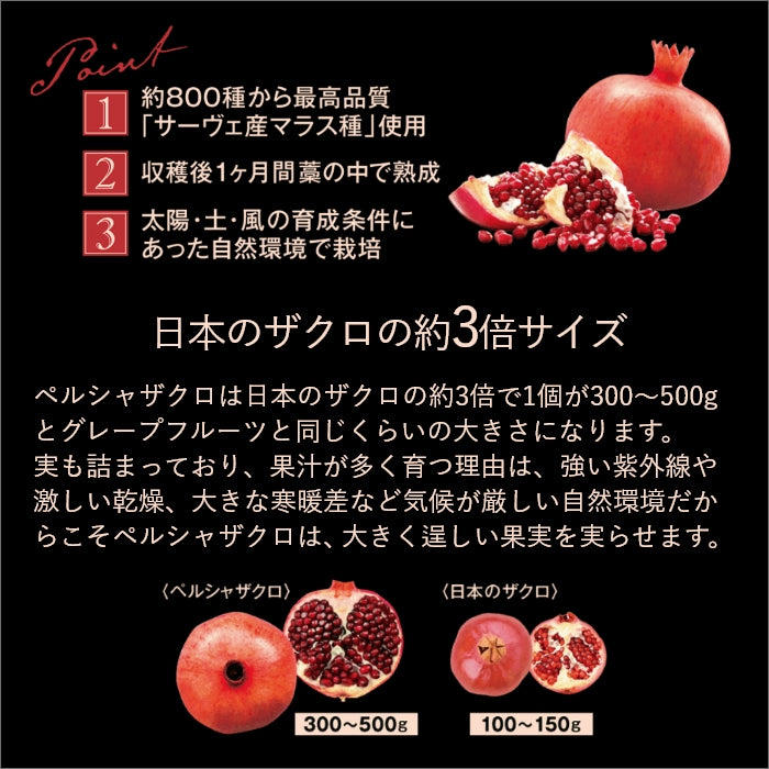 ザクロザイムペースト