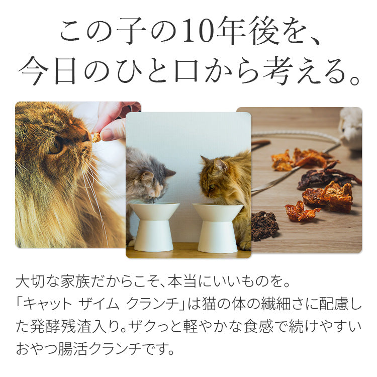 キャットザイムクランチ プレミアム ツナ ベニソン チキン