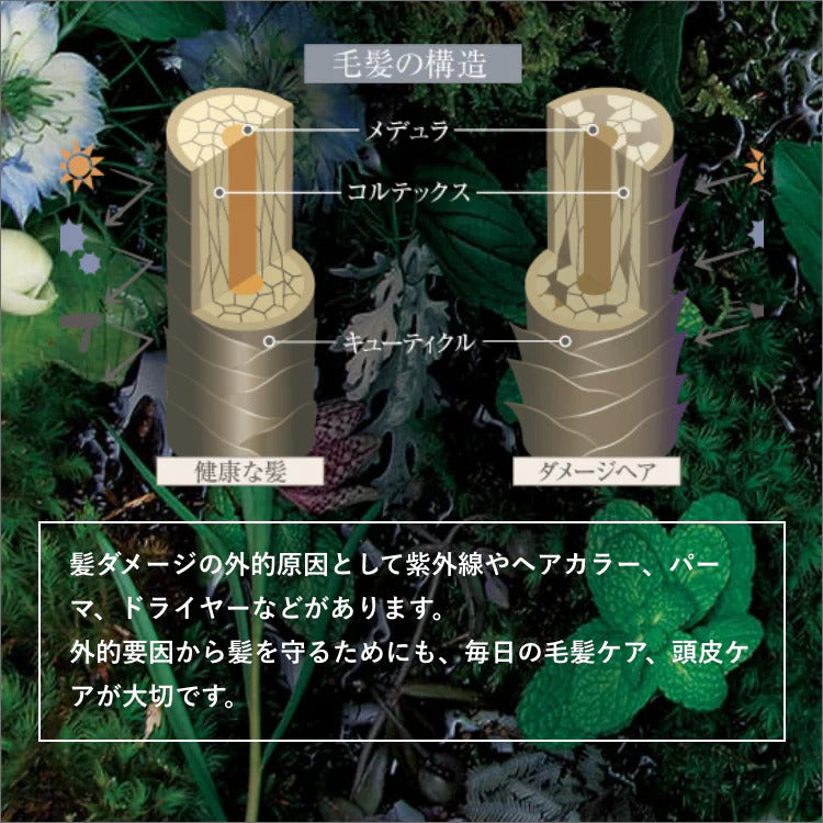 グロウセル シャンプー&トリートメントセット グランプロ ヘアケア