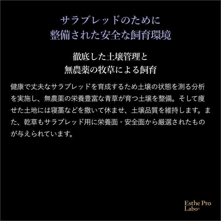 【ギフト】プラエンザイムEXグランプロ(10本)
