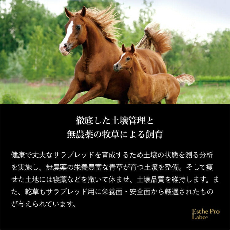 【ギフト】プラエンザイムEXグランプロ(10本)