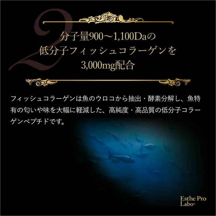 【ギフト】セブンファクタージュレEX(30包)