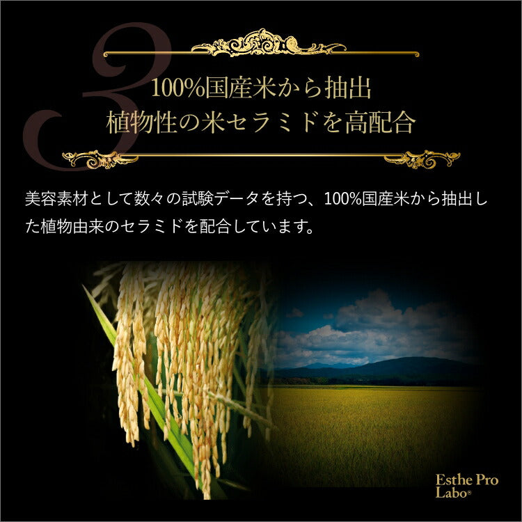 【ギフト】セブンファクタージュレEX(30包)