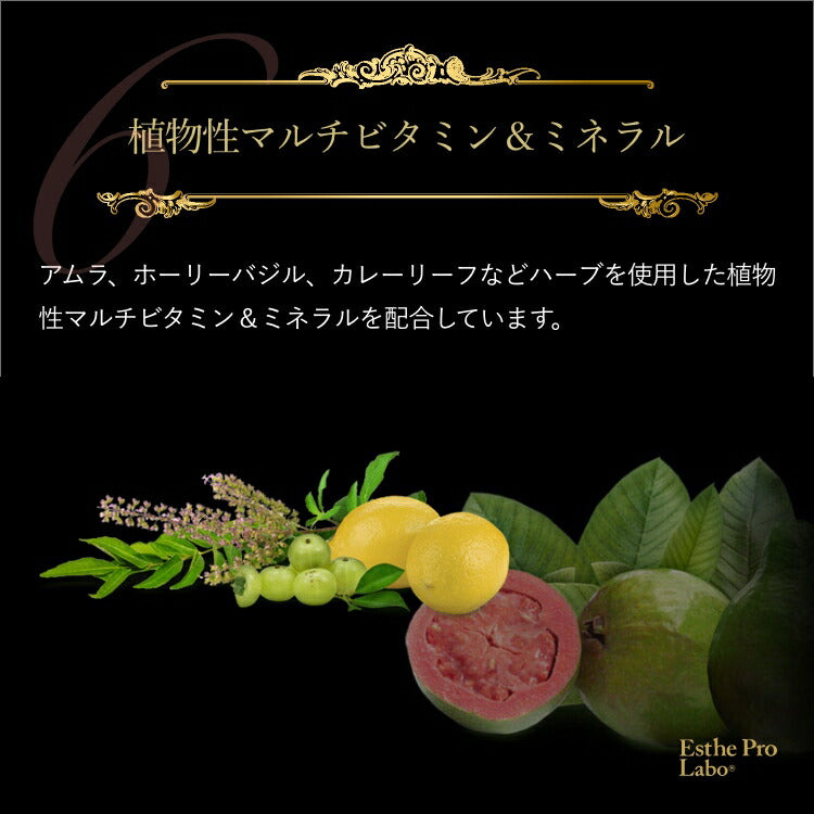 【ギフト】セブンファクタージュレEX(30包)