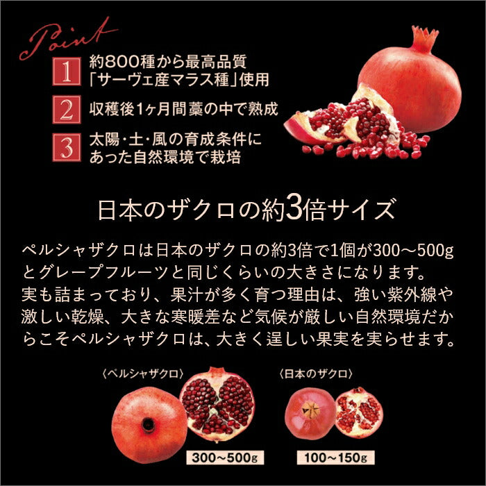 【ギフト】ザクロザイムペースト