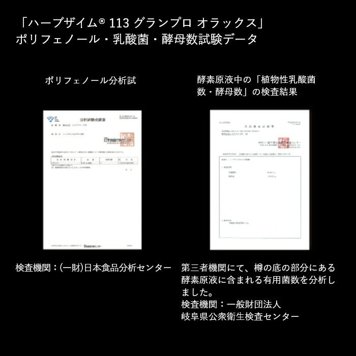 【ギフト】ザクロザイムペースト