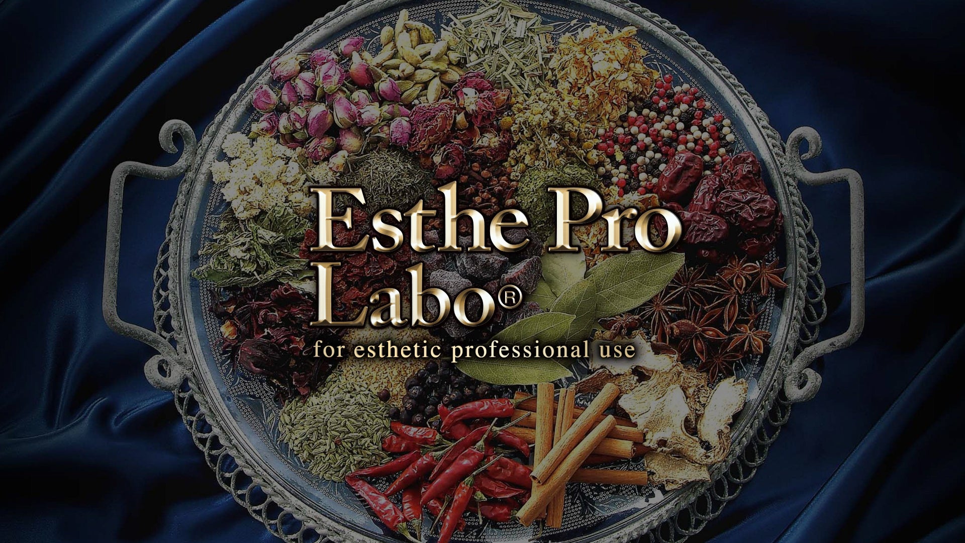 Esthe Pro Labo -エステプロラボ- for esthetic professional use