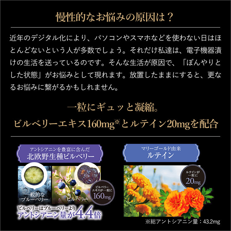 イーブライト