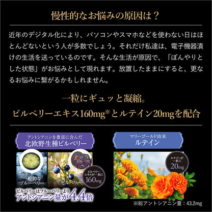 イーブライト