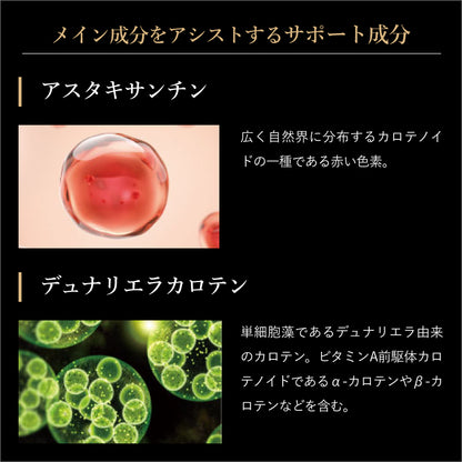 イーブライト