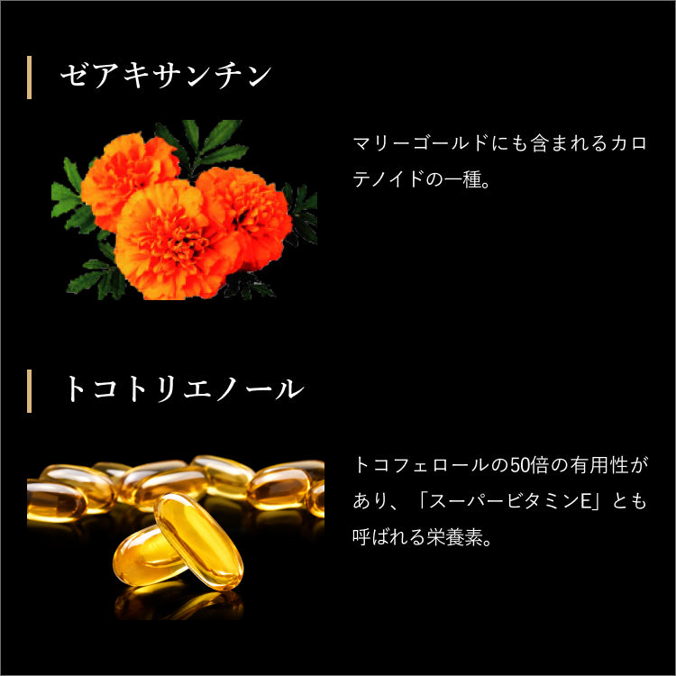 イーブライト