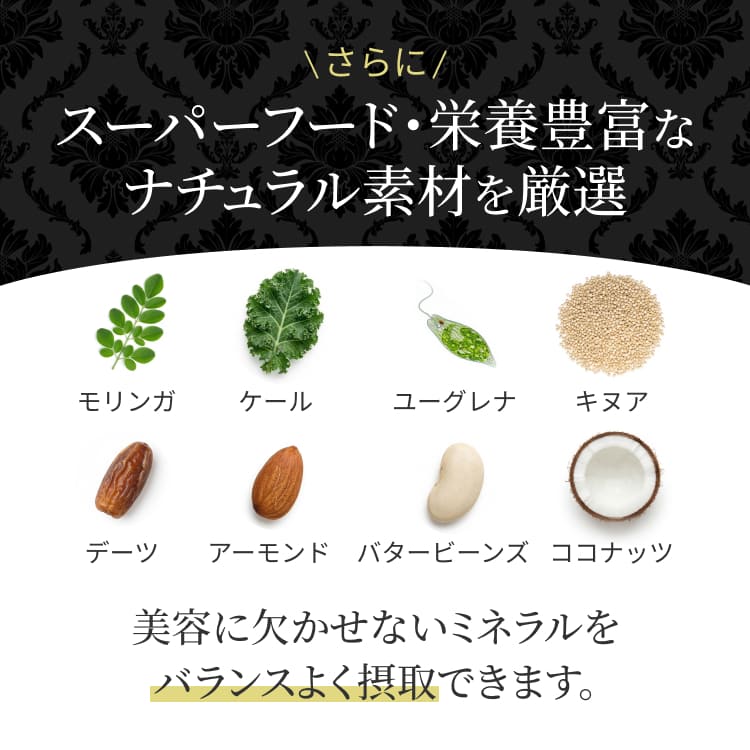 プロテインナチュラビッツ（黒ごまきな粉）