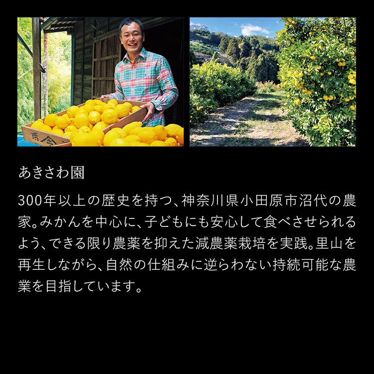 GOOD FOOD JELLY（グッドフードゼリー）