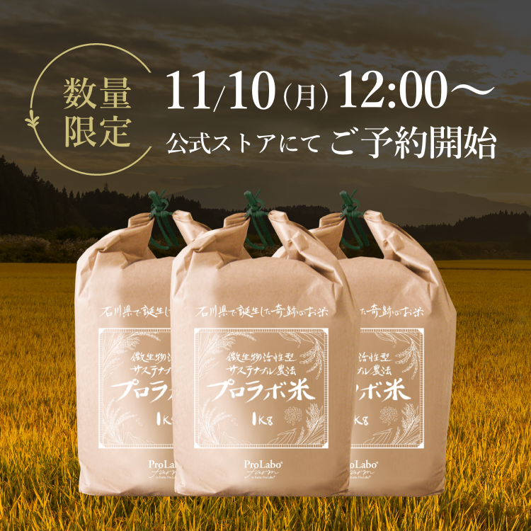 プロラボ米3袋セット（白米1㎏×3）