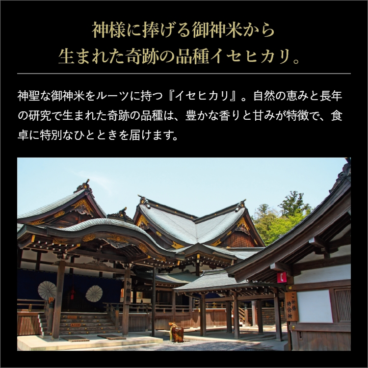 プロラボ米3袋セット（白米1㎏×3）