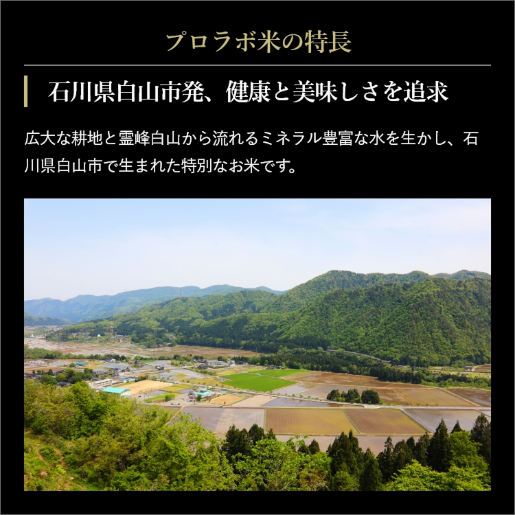 プロラボ米3袋セット（白米1㎏×3）