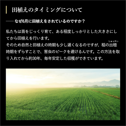 プロラボ米3袋セット（白米1㎏×3）