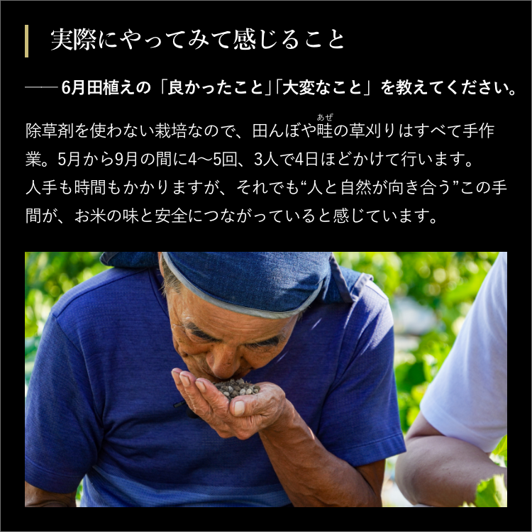 プロラボ米3袋セット（白米1㎏×3）