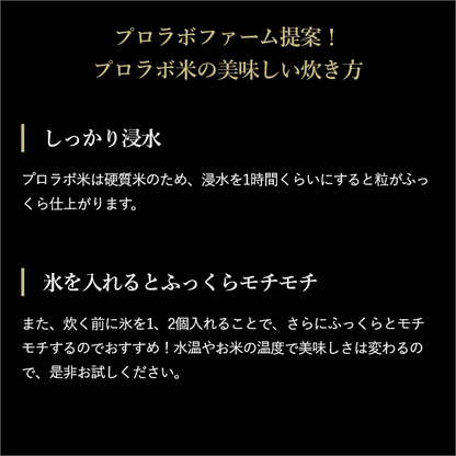 プロラボ米3袋セット（白米1㎏×3）