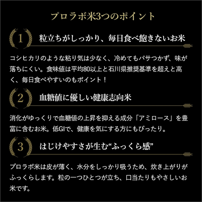プロラボ米3袋セット（白米1㎏×3）