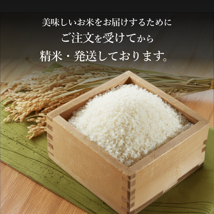 プロラボ米3袋セット（白米1㎏×3）