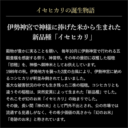 プロラボ米3袋セット（白米1㎏×3）