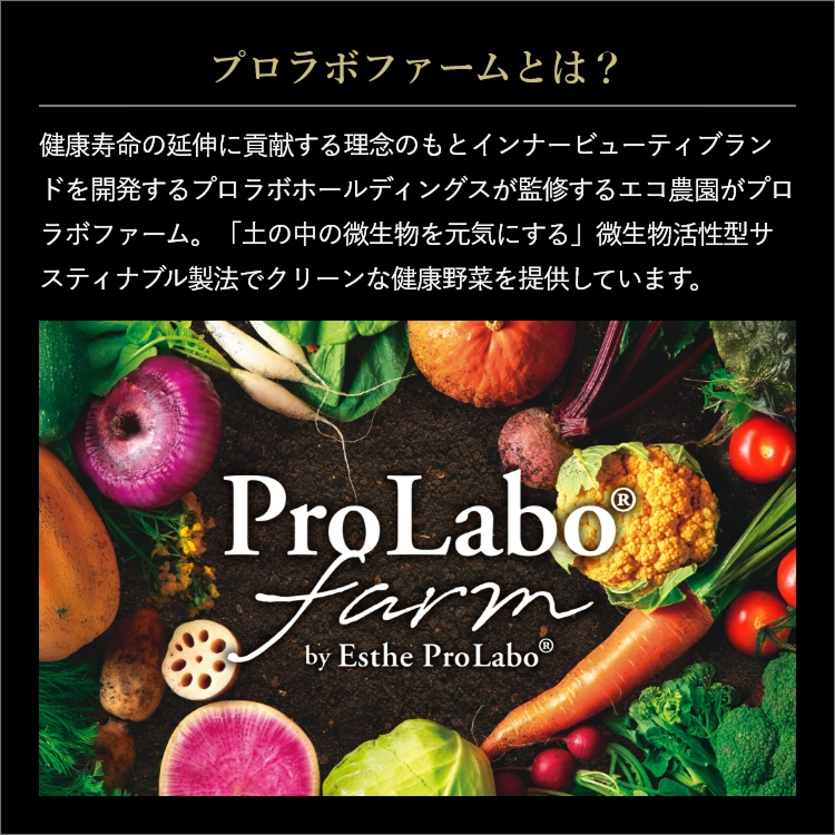 プロラボ米3袋セット（白米1㎏×3）