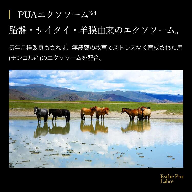 エクストラソーム プレミアム
