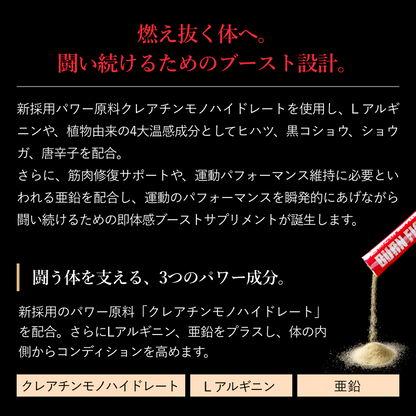 バーンファイティング（BURN FIGHTHING）