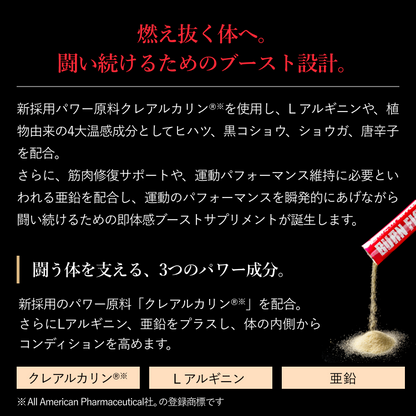 バーンファイティング（BURN FIGHTING）