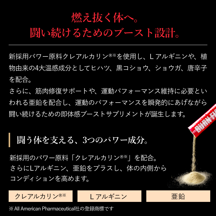 バーンファイティング（BURN FIGHTING）