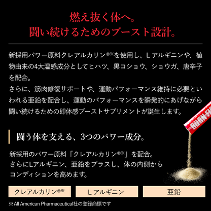 バーンファイティング（BURN FIGHTING）