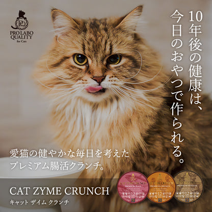 キャットザイムクランチ プレミアム ツナ ベニソン チキン