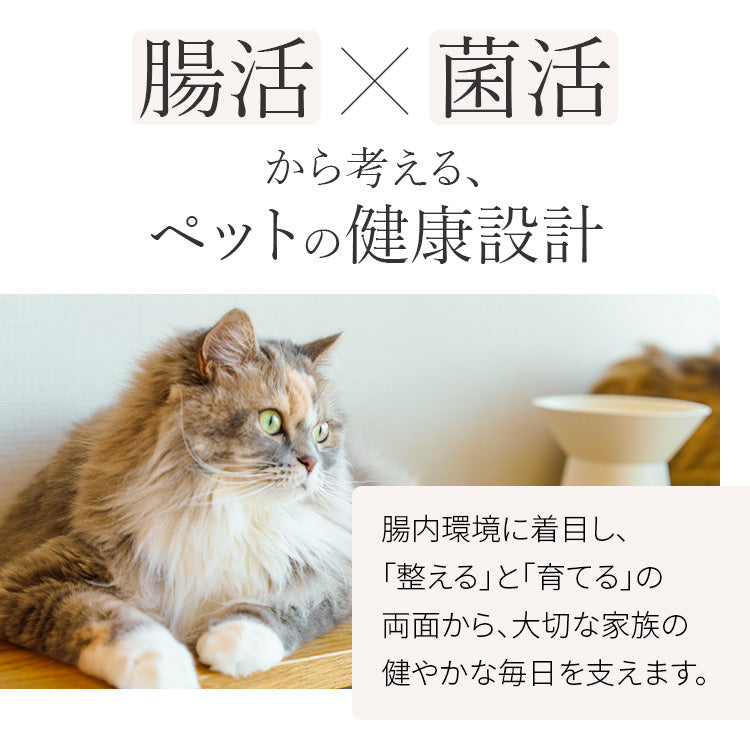 キャットザイムクランチ プレミアム ツナ ベニソン チキン