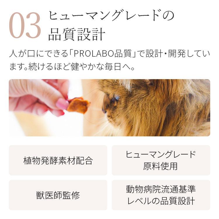 キャットザイムクランチ プレミアム ツナ ベニソン チキン