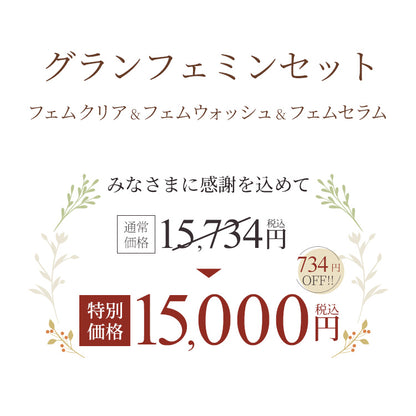 グランフェミンセット