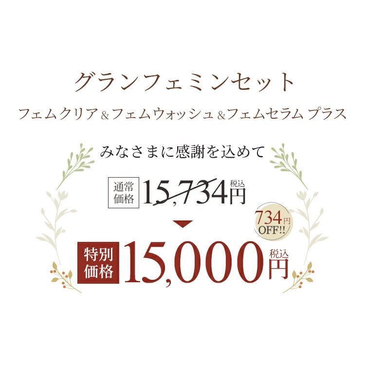 グランフェミンセット