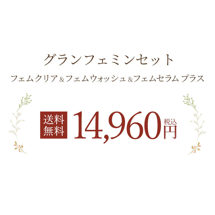 グランフェミンセット