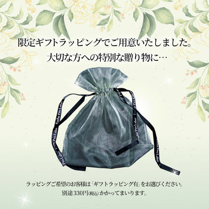 グランフェミンセット