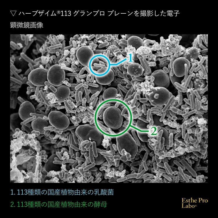 ハーブザイム®113 グランプロ